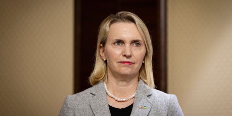 Pressures from Kyiv and Washington led to US ambassador’s resignation, sources say