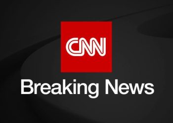 55 men arrested in France in major operation to bust online pedophile ring