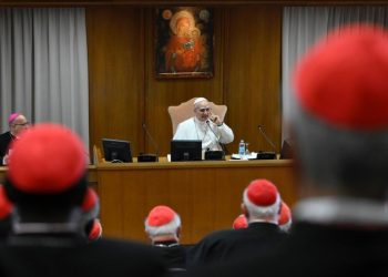 Pope Leo signals he will closely follow Francis and says AI represents challenge for humanity