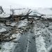 Children swept away in school bus among at least 49 killed in South Africa flooding