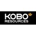 Bringing Art, Youth, and Football Together: Kobo’s Workshop in Kossou