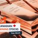Top 5 Canadian Mining Stocks This Week: Valhalla Jumps 282 Percent on Ambler Approval