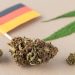 Germany’s Medical Cannabis Boom: Data-Driven Insights for Investors
